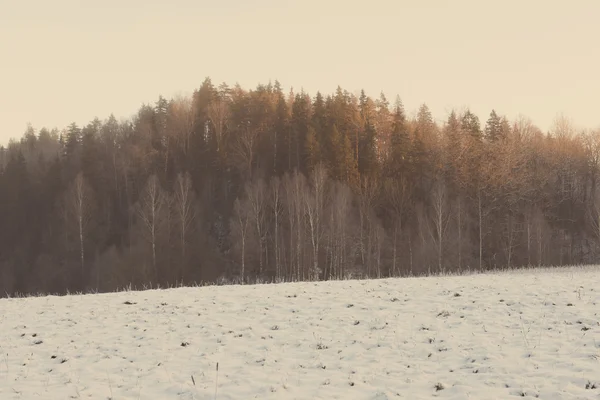 Foresta invernale innevata con alberi innevati - vintage retrò — Foto Stock