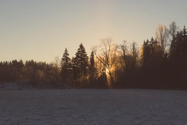 Belo nascer do sol escuro sobre a floresta no inverno - vintage retro — Fotografia de Stock