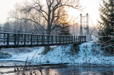 karlı kış orman manzara ile Köprü