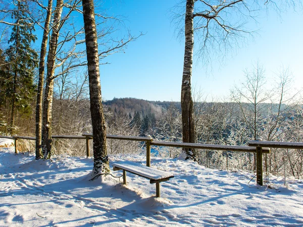 Inverno nevado paisagem florestal com árvores cobertas de neve — Fotografia de Stock