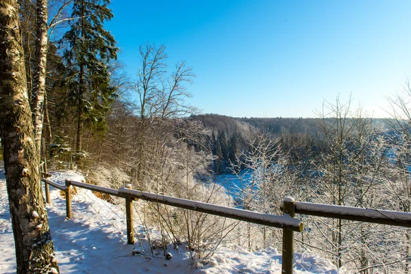 Inverno nevado paisagem florestal com árvores cobertas de neve — Fotografia de Stock