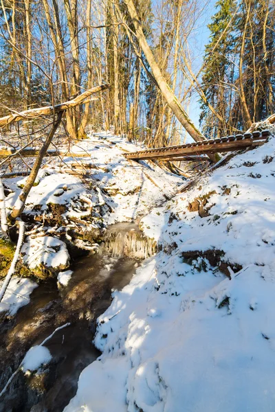 Zasněžené zimní lesní krajina se zasněženými stromy — Stock fotografie