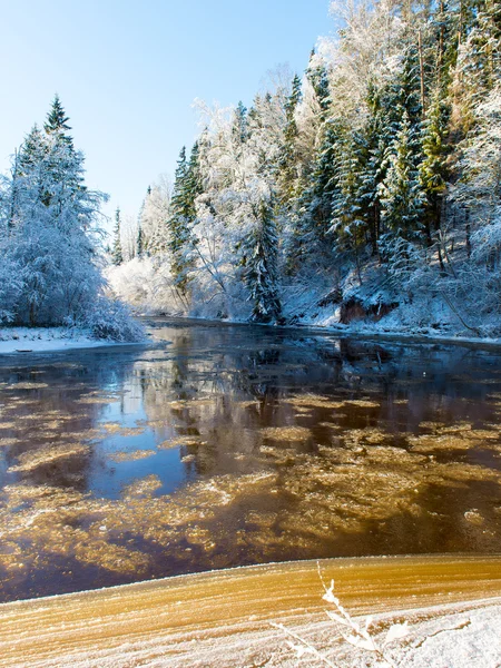 Řeky Snowy zimní krajina s zasněžené stromy — Stock fotografie