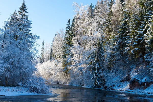 Paysage fluvial enneigé d'hiver avec arbres enneigés — Photo