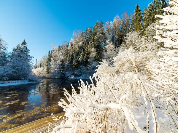 Paysage fluvial enneigé d'hiver avec arbres enneigés — Photo