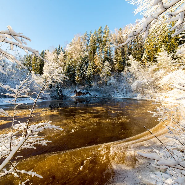Snowy winter river landscape with snow covered trees — Stock Photo, Image
