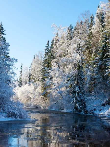 Snörik vinter floden landskap med snötäckta träd Royaltyfria Stockfoton