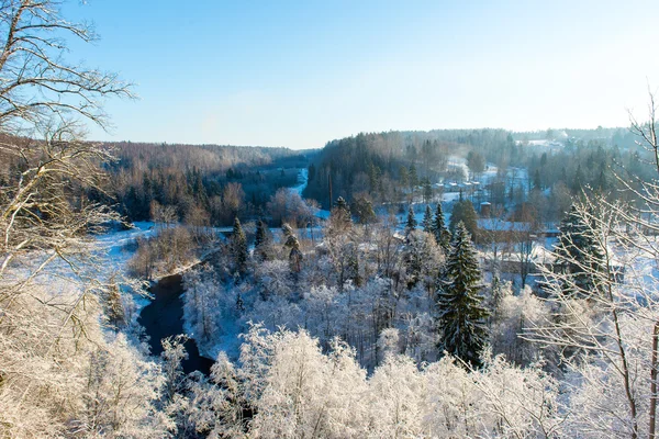 Besneeuwd winterlandschap met besneeuwde bomen — Stockfoto