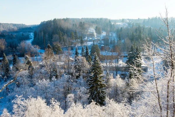 Besneeuwd winterlandschap met besneeuwde bomen — Stockfoto