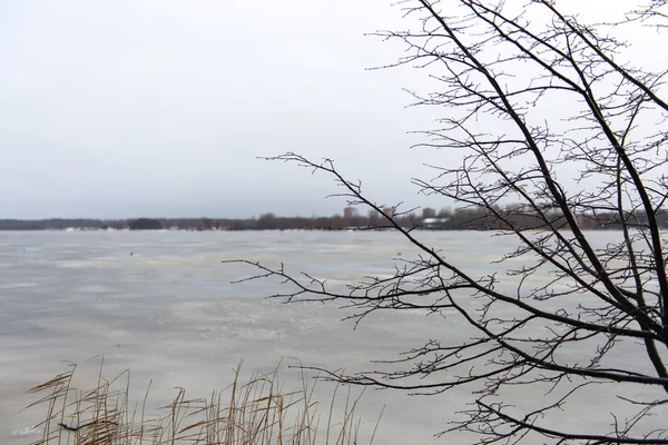 Moody nublado dia de inverno no lago — Fotografia de Stock