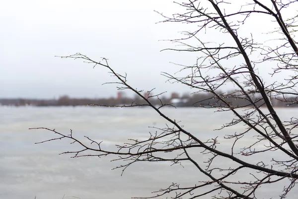 Launisch bewölkter Wintertag am See — Stockfoto