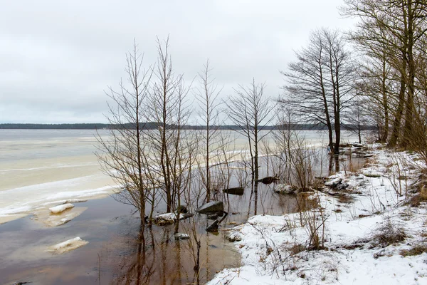 Launisch bewölkter Wintertag am See — Stockfoto