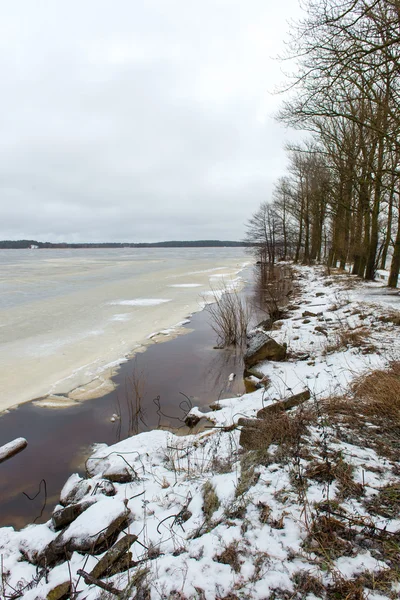 Moody nublado dia de inverno no lago — Fotografia de Stock