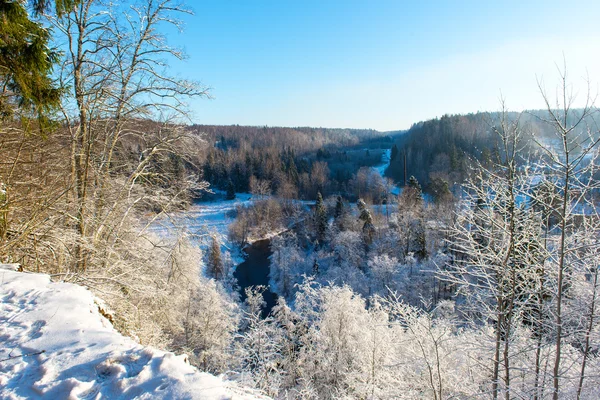 Nevado paisaje de invierno con árboles cubiertos de nieve —  Fotos de Stock