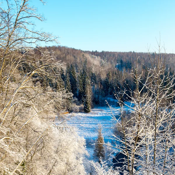 Snötäckta vinterlandskap med snötäckta träd — Stockfoto