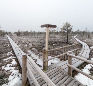 boş yön işareti ile ahşap tahta