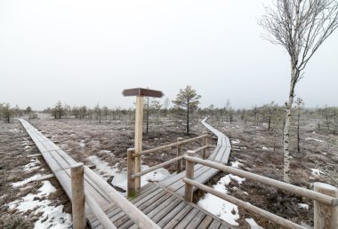 boş yön işareti ile ahşap tahta