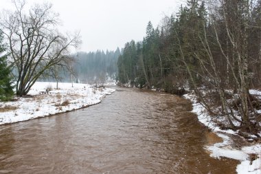 doğal kış renkli Nehri ülkede