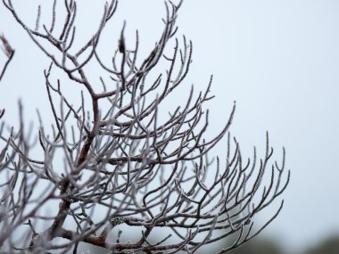 buz dondurulmuş soyut dokular