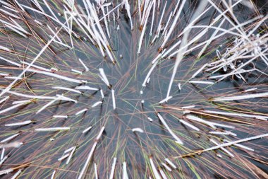 buz dondurulmuş soyut dokular