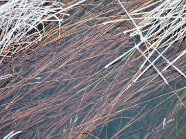 buz dondurulmuş soyut dokular