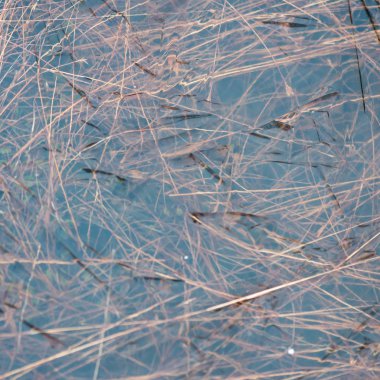 buz dondurulmuş soyut dokular