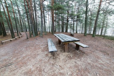 turist iz kış orman