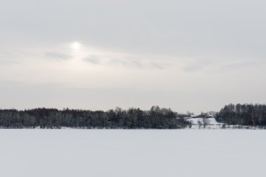 Karlı kış ormanı, karla kaplı ağaçlar