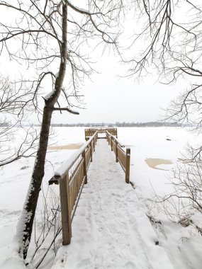 turist iz kış orman