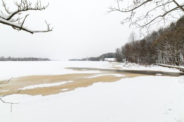 Karlı kış ormanı, karla kaplı ağaçlar