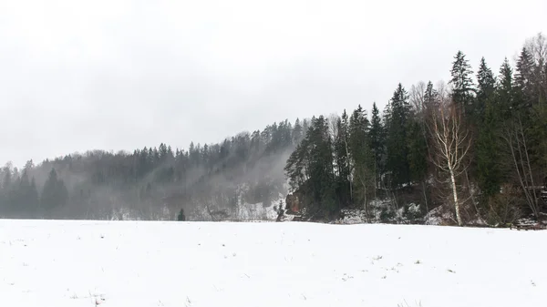 Snowy winter forest with snow covered trees — Stock Photo, Image