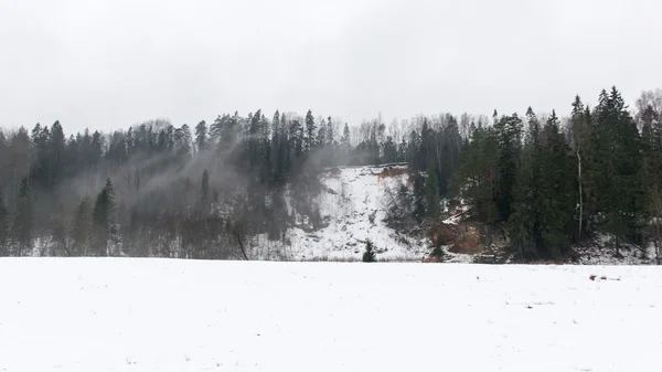 Bosque nevado de invierno con árboles cubiertos de nieve — Foto de Stock