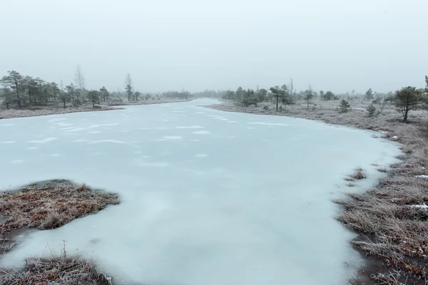 Paisaje nevado en pantano de invierno helada — Foto de Stock