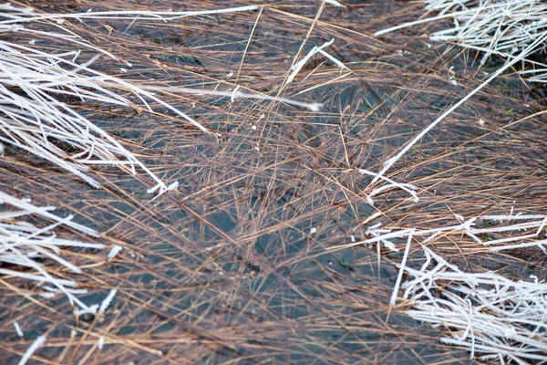 Frozen abstract textures in ice — Stock Photo, Image