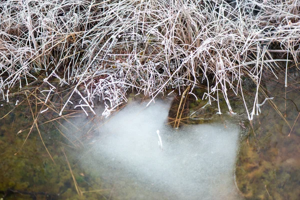 Textures abstraites congelées dans la glace — Photo