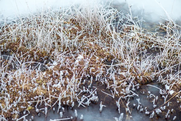 Заморожені абстрактні текстури в льоду — стокове фото
