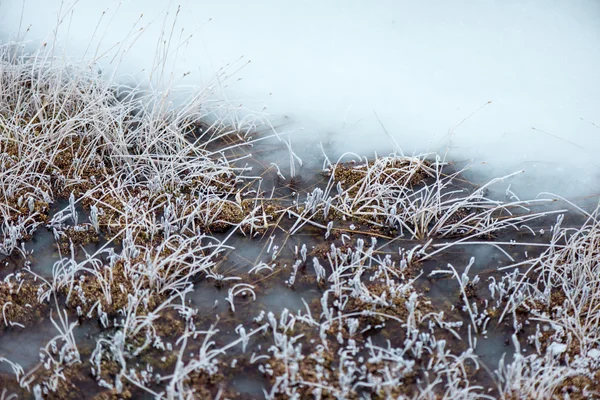 Texturas abstractas congeladas en hielo —  Fotos de Stock