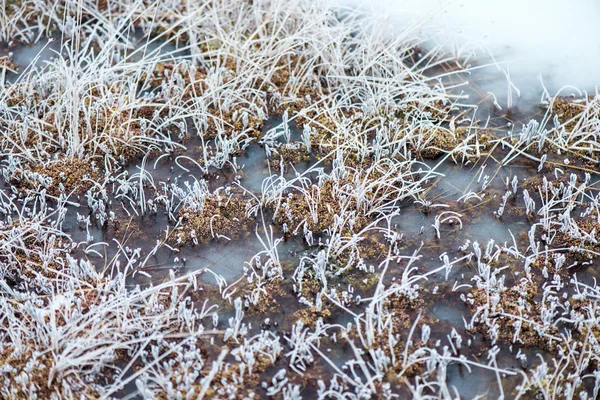 Eingefrorene abstrakte Texturen im Eis — Stockfoto