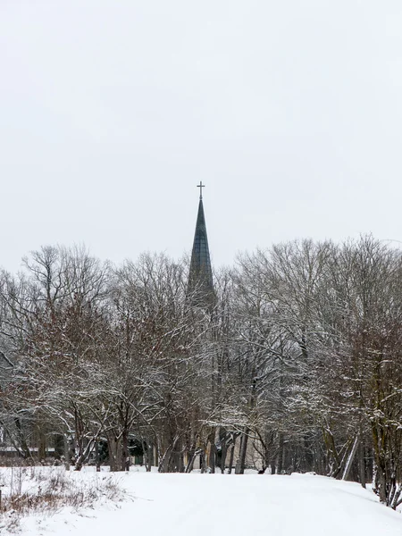 冬の国教会 — ストック写真
