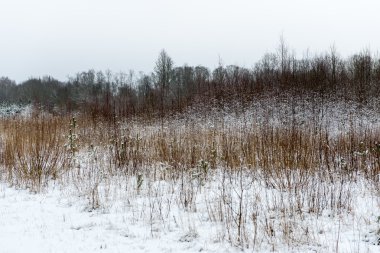 sis ve beyaz alanlar ile kış kırsal manzara