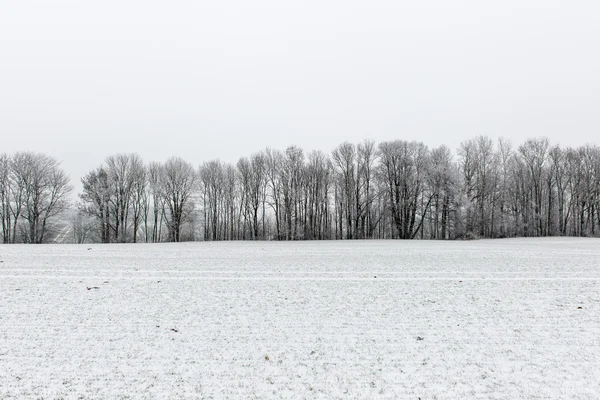 Invierno escena rural con niebla y campos blancos —  Fotos de Stock