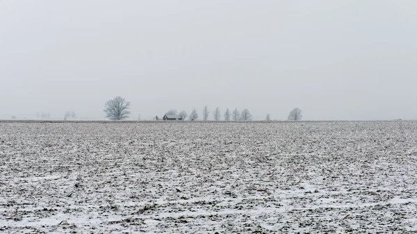 Χειμωνιάτικο σκηνικό αγροτικής με ομίχλη και λευκά πεδία — Φωτογραφία Αρχείου
