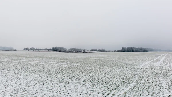 Зимняя сельская сцена с туманом и белыми полями — стоковое фото