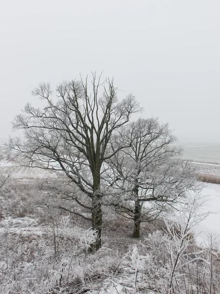 Téli vidéki táj, a köd és a fehér mező — Stock Fotó