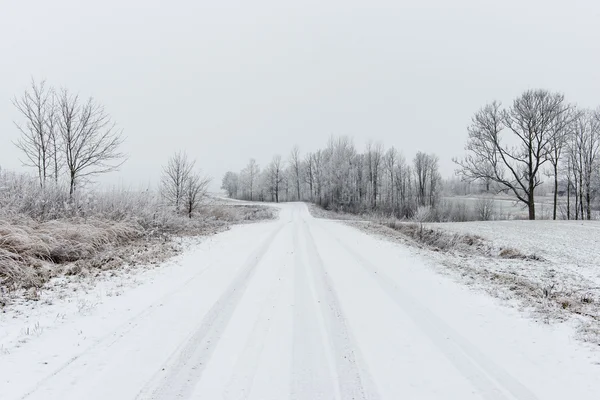 Cena rural de inverno com nevoeiro e campos brancos — Fotografia de Stock