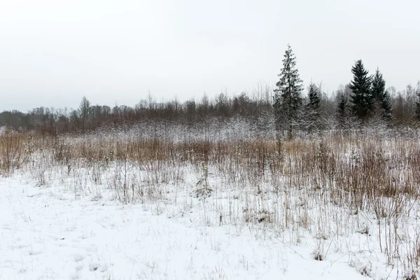 Scenario rurale invernale con nebbia e campi bianchi — Foto Stock