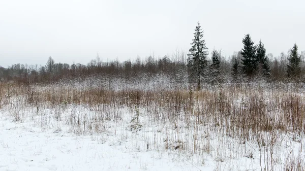 Scenario rurale invernale con nebbia e campi bianchi — Foto Stock