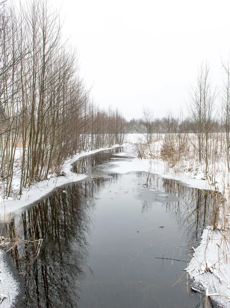 Winter ländliche Szene mit Nebel und gefrorenem Fluss — Stockfoto