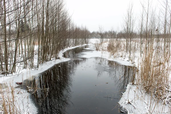 Winter ländliche Szene mit Nebel und gefrorenem Fluss — Stockfoto