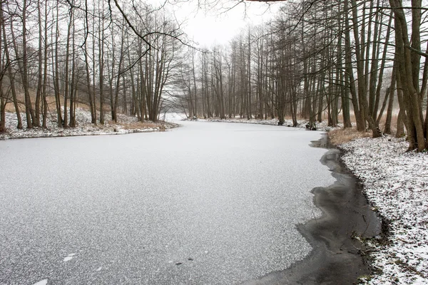 Sis ve donmuş nehir ile kış kırsal manzara — Stok fotoğraf
